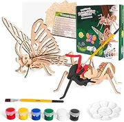 CoolToys Intrepid Insects Paint n' Play 3D Model and Craft Kit - Educational and Fun 3D Wooden Models Building and Painting Set for Kids Ages 6+ - Creative STEM Art Project for Boys and Girls