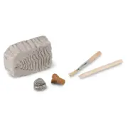 [Heebie Jeebies] Fossil Dig Palaentology Kit
