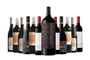 12 pack - Mixed Reds Dozen - Shiraz MAGNUM Upgrade 5.0 - Wine Dozen