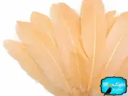1/4 lb - Peach Goose Satinettes Wholesale Loose Wing Feathers Craft Quill Party