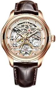 [Rhomba] LIGE8945 Men's Mechanical Watch New Concept Hollow Out Design Tortoise Flywheel Waterproof Watch, Gold and Brown, Business