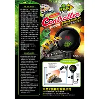 在飛比找蝦皮購物優惠-帥哥水族【REPPARK】兩棲爬蟲單顯控溫器（1000W）【