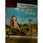 我的野生動物朋友 /蒂皮.德格雷 著/二手書