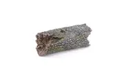 Kazoo Closed End Breeding Log
