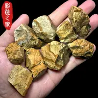 在飛比找樂天市場購物網優惠-天然圖畫石原石大顆粒擺件木化石原石魚缸花盆造景裝飾礦石標本石