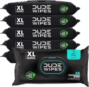 Flushable Wet Wipes Dispenser, Mint Chill, 288 Count (Pack of 6) Scented Wet Wi