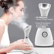 Skin Care Mini Machine Personal Handheld Nano Ionic Face Sprayer Facial Steamer