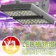 防水型LED植物燈【Y1光譜】台灣製㊣VITALUX【**最新款仿太陽光全光譜植物生長燈雨林觀葉園藝照明燈量子板補光燈】