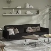 2-Seater Sofa Bed Black Velvet,2in1 Velvet Daybed Sofa with Pullout Bed for Living Room, Guest Room, and Apartment Living Room Furniture