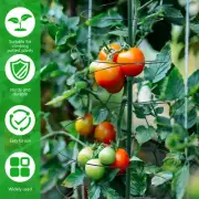 Spiral Plant Support Stretchable Plant Support Stakes Rustproof Tomato-.-