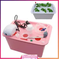 在飛比找蝦皮購物優惠-1 Set 6 Holes Hydroponic Kit P