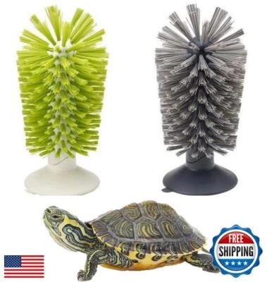 Turtle Brush with Suction Cup for Tank Scratches Back Brush Shell Cleaning Br