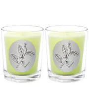 Qualitas Candles Opopanax Two Scented Beeswax Candle Set