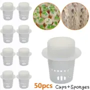 New 50*Plant Slotted Mesh Soilless Culture Vegetable Net+Pots Baskets Cups Set