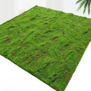 Artificial Moss Turf Grassland Fake Grass Carpet Lawn Artificial Turf Grass for