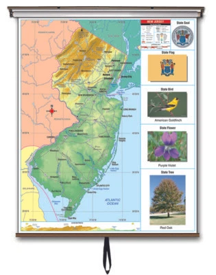 New Jersey State Primary Thematic Wall Map on Roller w/ Backboard
