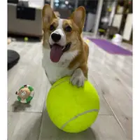 在飛比找ETMall東森購物網優惠-寵物狗狗玩具球24cm超大網球加倍快樂柯基法斗柴犬彈力球解悶