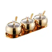 Elegant Spices Jar with Lid and Serving Spoons Space Saving Stainless Steel Kitchen Condiment Set with 3 Jars