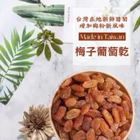 在飛比找蝦皮購物優惠-【免運】台灣新鮮梅子葡萄乾 150g 新鮮水果乾 果乾 零食