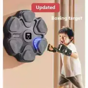 Smart Music Boxing Machine Sports Fitness Boxing Trainer Home Exercise Training