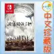 ●秋葉電玩● Switch NS 謎塔和孩子們 奔向塔底 中文珍藏版 典藏版