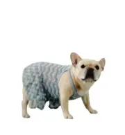 Koolaburra By Ugg X-Large Dog Green and White Mila Knit Chevron Pattern Dress