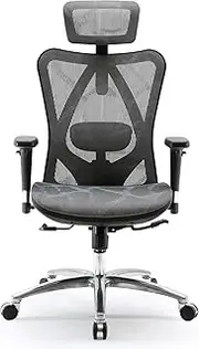 [SIHOO] Ergonomic Office Chair, Computer Desk Chair, 3D Adjustable High-Back, Breathable Skin-Friendly Mesh with Armrest, Lumbar Support (Grey)