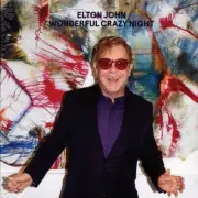 VINYL Elton John - Wonderful Crazy Night