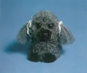 Macrame Dog Pattern - NL400 Everything You Need to Know About Fusing & Picking