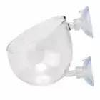 Clear Glass Plant Cups with Suction Cups Aquariums Landscaping