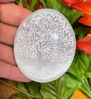 Selenite Palm Stone Etched with Tree of Life, Oval Soap Stone, 2.5" Pocket Stone