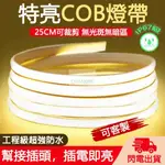 閃電出貨 110V高壓COB燈條 25CM/剪 IP67級超強防水 高亮無暗區家裝吊頂裝飾燈條戶外防水LED柔性軟燈條