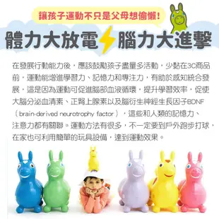 【義大利RODY】跳跳馬大套組 跳跳馬 rody 跳跳馬底座 跳跳馬配件 rody 跳跳馬 搖 板 聖誕禮物兒童