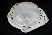 Pearl Shell Carved Shellfish Seashells Collectible Beach Sea Decor Jewelry Tray