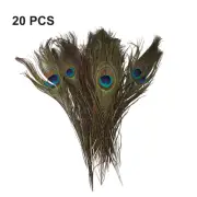 Premium Peacock Tail Feathers 1020pcs Fly Fishing Bait Tying Materials