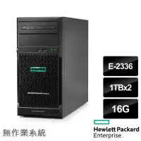 在飛比找momo購物網優惠-【HPE】E-2336 六核熱抽直立伺服器(ML30 Gen