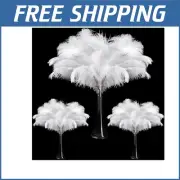 Versatile 90Pcs Natural Ostrich Feather Set - Perfect for DIY Decor & Crafts