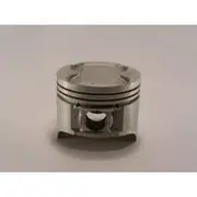 Austral Piston Set - PO1700 020