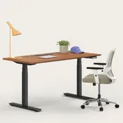 Recess Active Bundle | Ergonomic Chair Desk | Home Office Furniture Packages, Eucalypt / Small - 120W x 70D (cm) / Walnut/Black