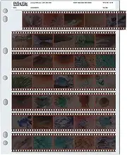 Archival 35mm Size Negative Pages Holds Seven Strips of Five Frames - 100 Pack