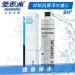 ◤免運費◢EVERPURE 台灣愛惠浦公司貨 濾心 QL3-BH2【大水量抑菌除垢型】3,000加侖(11,355公升)咖啡機 熱飲機適用 有雷射標籤