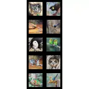 Patchwork Quilting Sewing Fabric Australian Animals B Panel 42x110cm