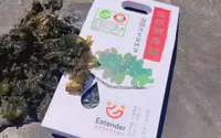 在飛比找奧丁丁巿集優惠-【沁園 - 有機乾燥雨來菇】不是菇的雨來菇，口感清脆陸生藍綠