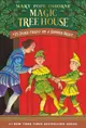 Magic Tree House 25: Stage Fright on a Summer Night