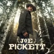 Bulk Audiobook titles - C.J BOX - Joe PICKETT series