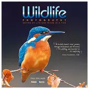 [Hubble & Hattie] Wildlife Photography Saving My Life One Frame at a Time