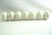7 Wood Eggs Painted 2-1/2" Large Chicken Egg Natural White