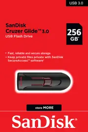 SanDisk USB 3.0 256GB Flash Drive Memory Stick