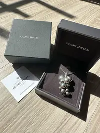 在飛比找Yahoo!奇摩拍賣優惠-全新收藏品Georg Jensen 257 純銀大葡萄項鍊