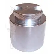 Protex Caliper Piston - 090P0306
